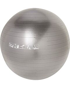 ENERGETICS - gymnastic ball - Zilver