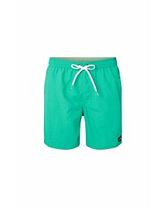 O'neill pm vert shorts
